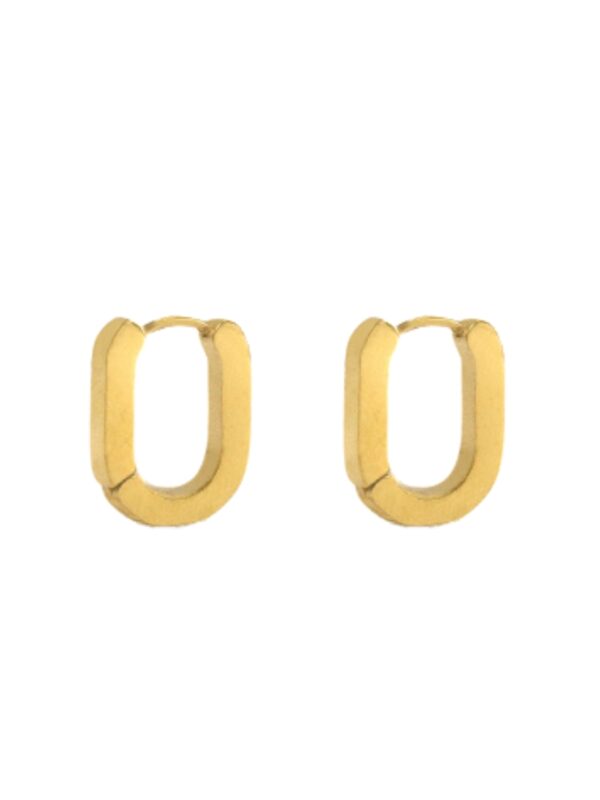 Oorbellen Chique Goud