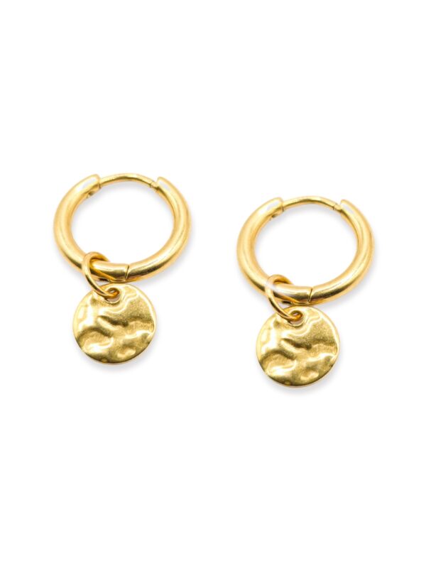 Oorbellen Small Coin Goud