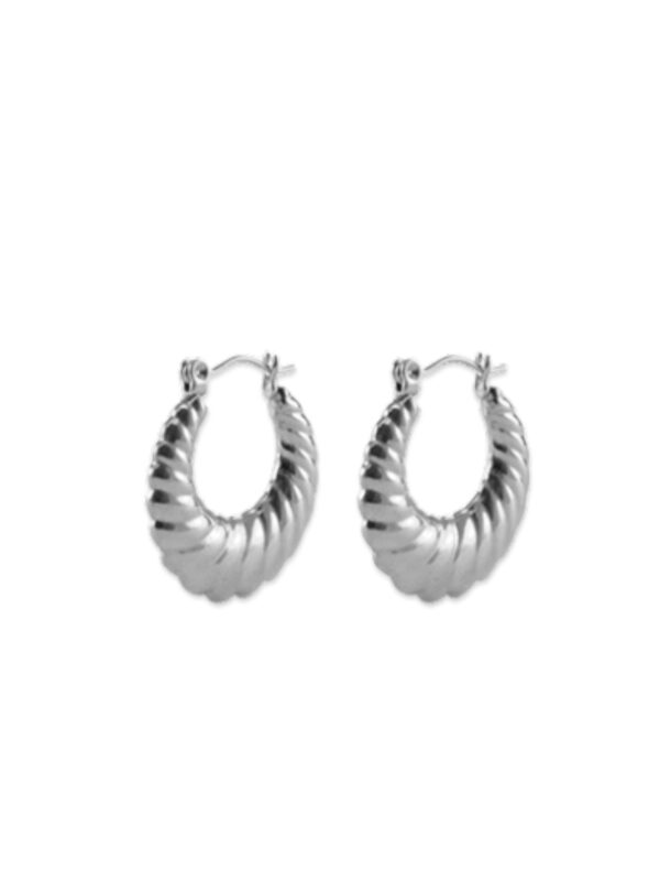 Oorbellen La Vie Zilver